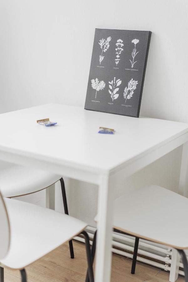 Homely Apartment - 10 Minutes To Stephansplatz 维也纳 外观 照片